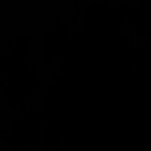 Tiff donation bundle